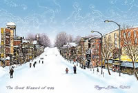 The Blizzard Albion Michigan
