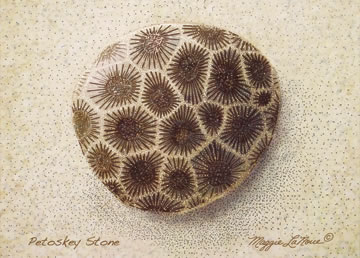 Petoskey Stone Full Color Giclee Print
